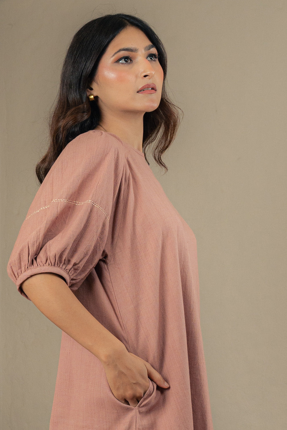 Inverted Pleat Sleeve Dress