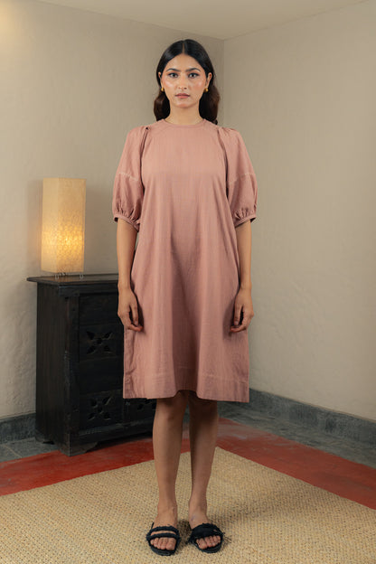 Inverted Pleat Sleeve Dress